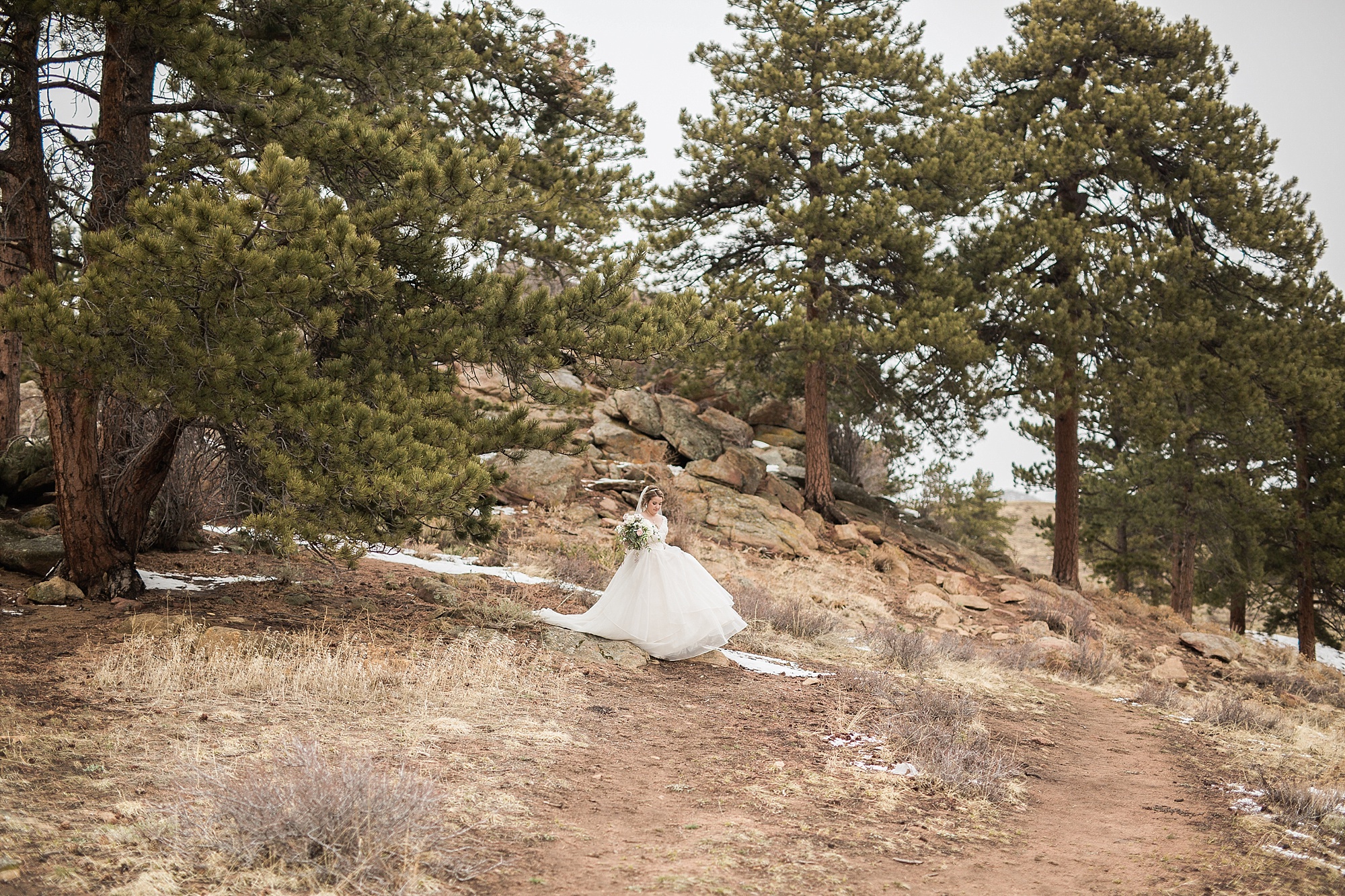 sarah and michael wedding rocky mountain national park colorado elopement hazel and lace photography