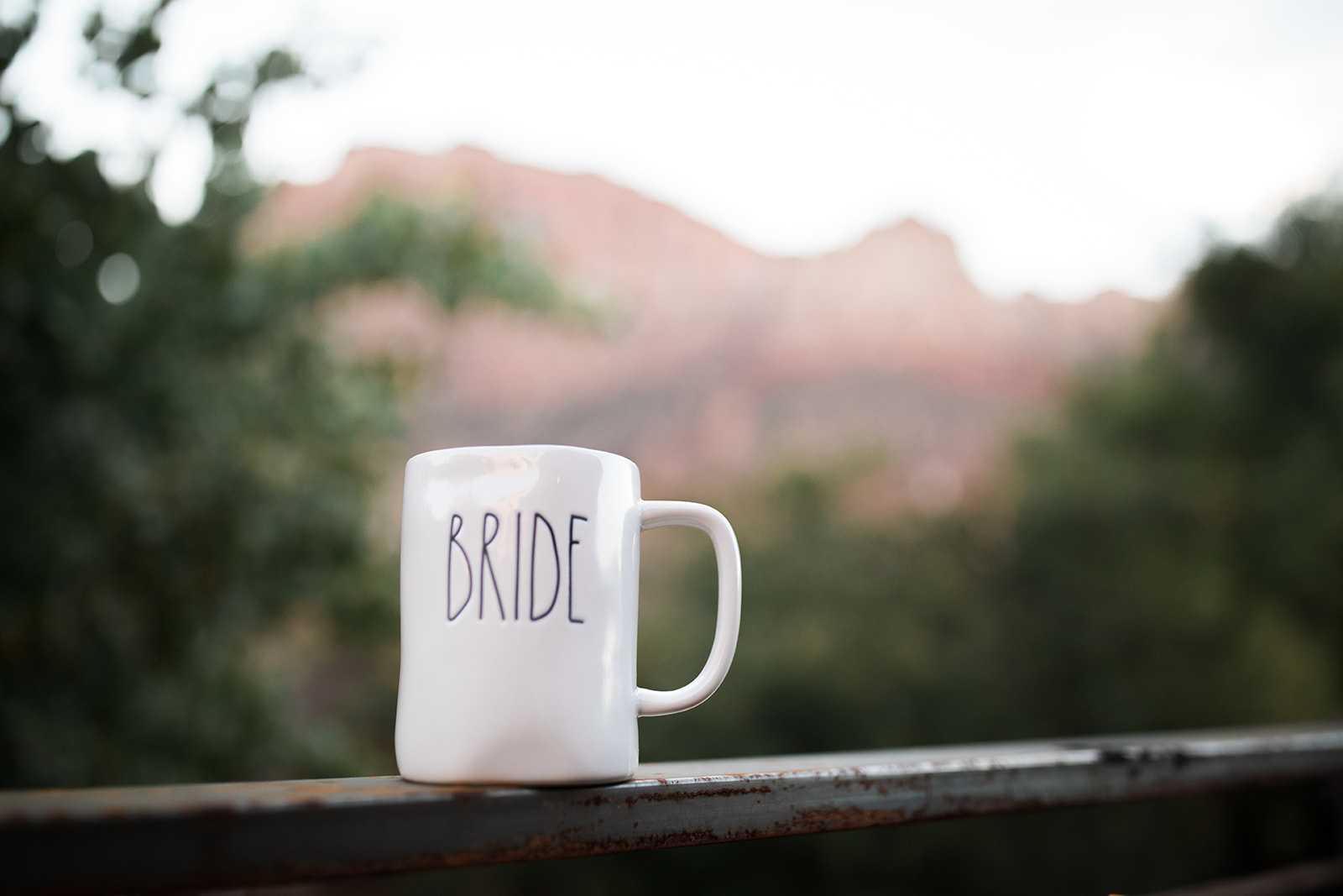 bride cup in front of zion mountains