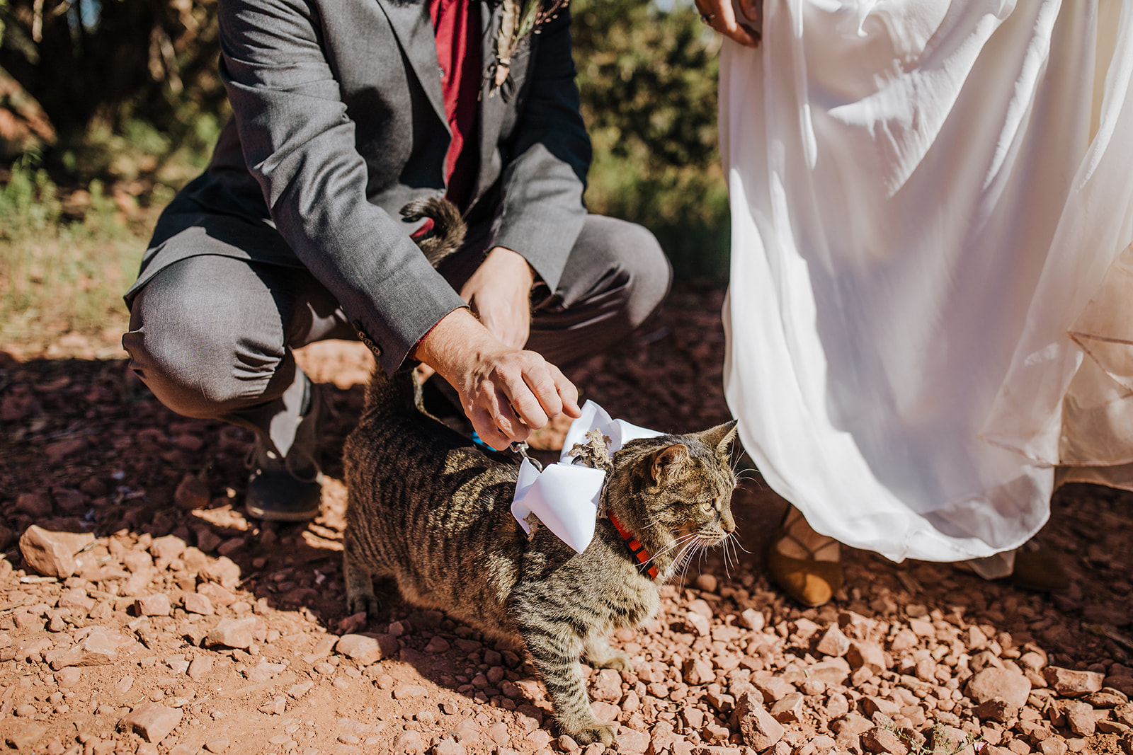 bride and groom with adventure cat for Sedona desert elopement