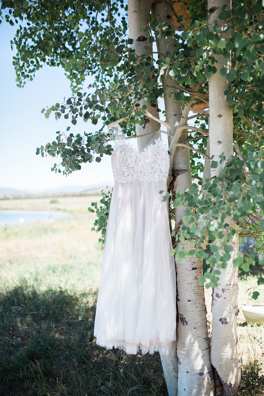 Wedding dress in aspen tree in Colorado mountains