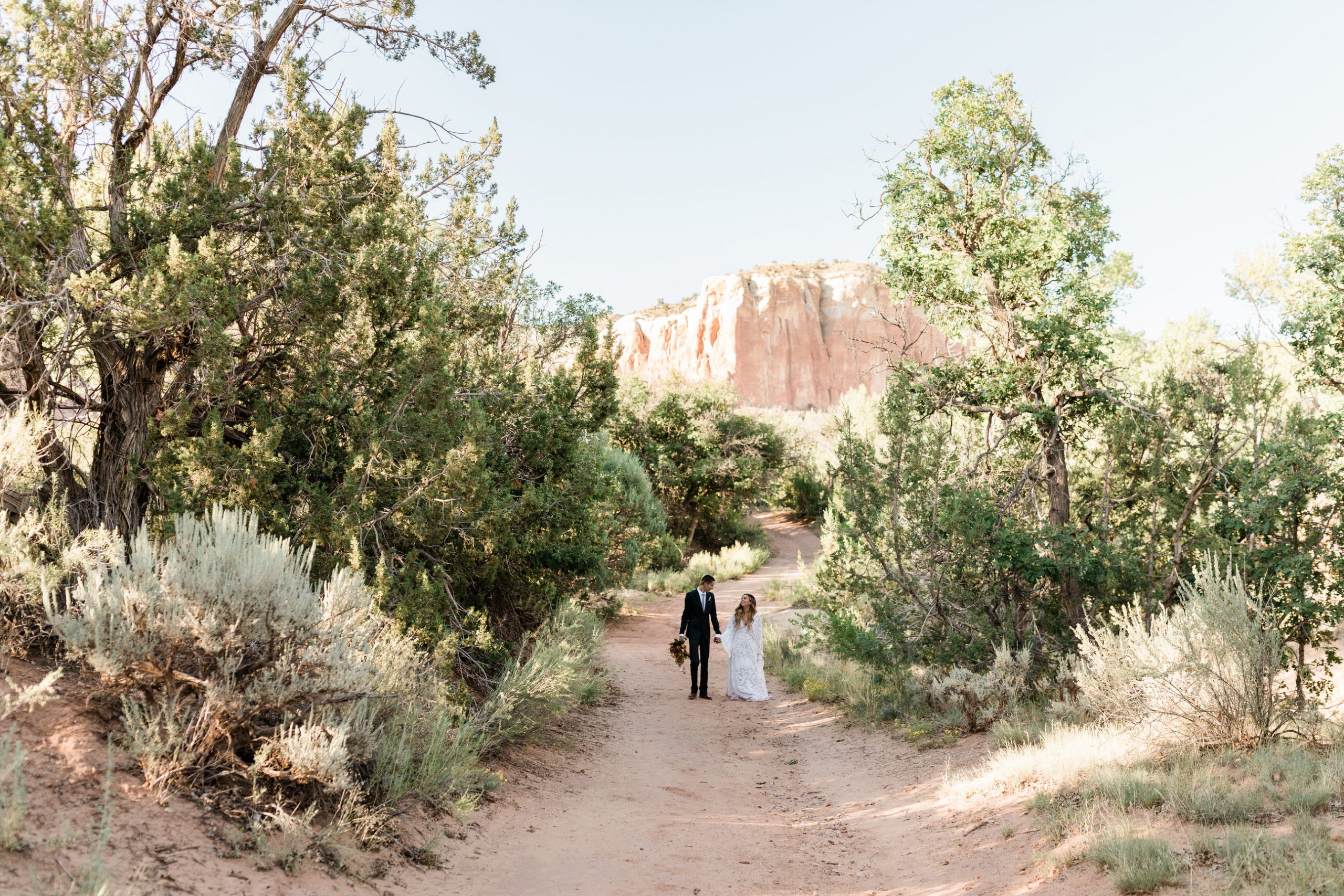 bride and groom portraits in Albiquiqu New Mexico desert