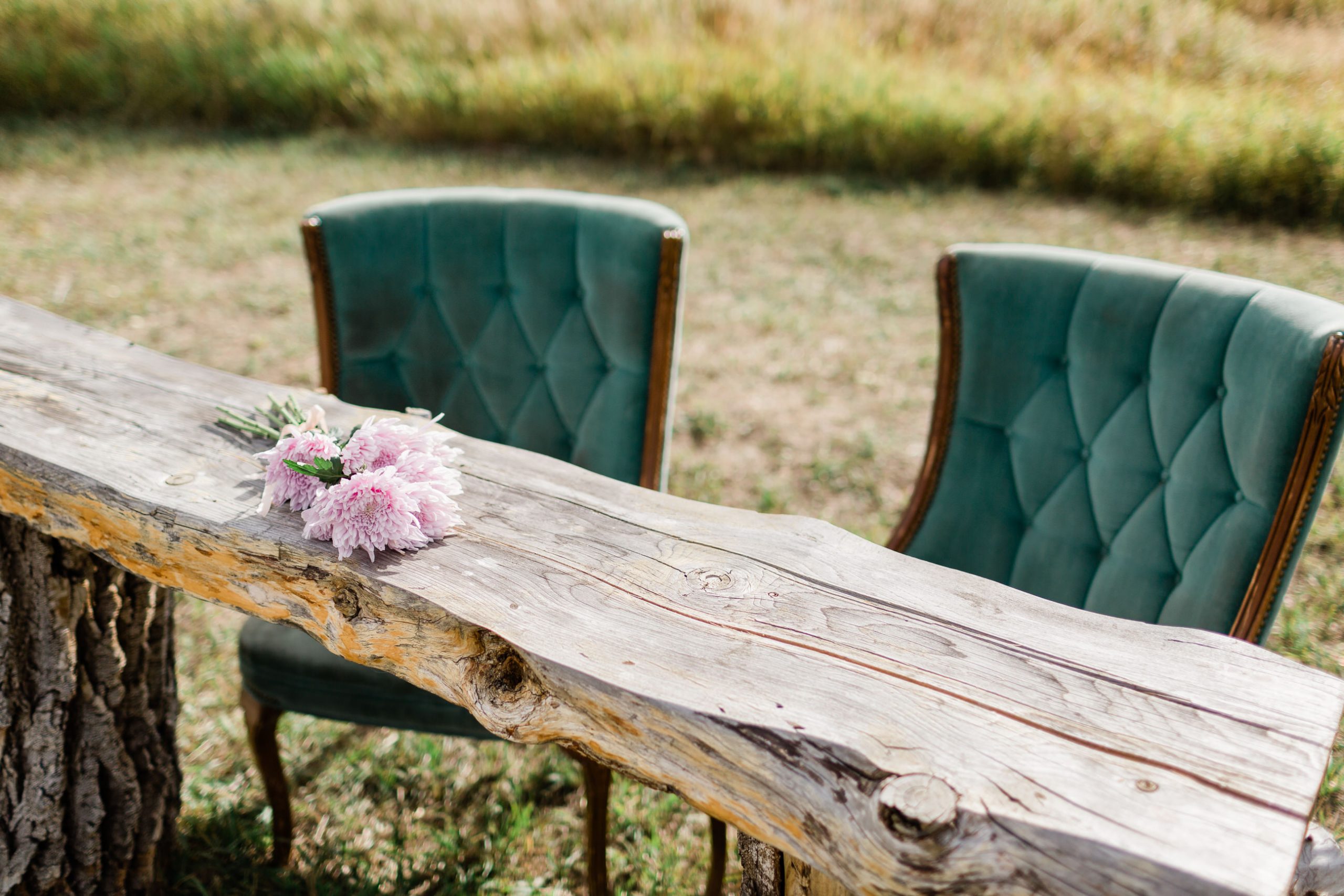 wedding ceremony site in outdoor Colorado meadow