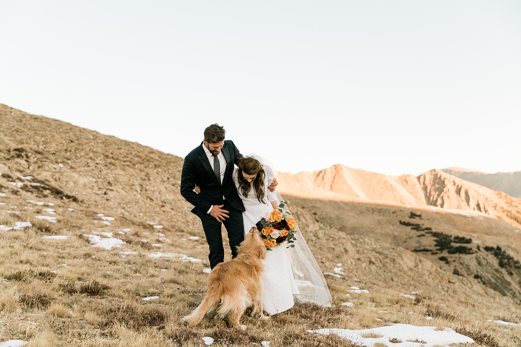 hope pass elopement with dogs