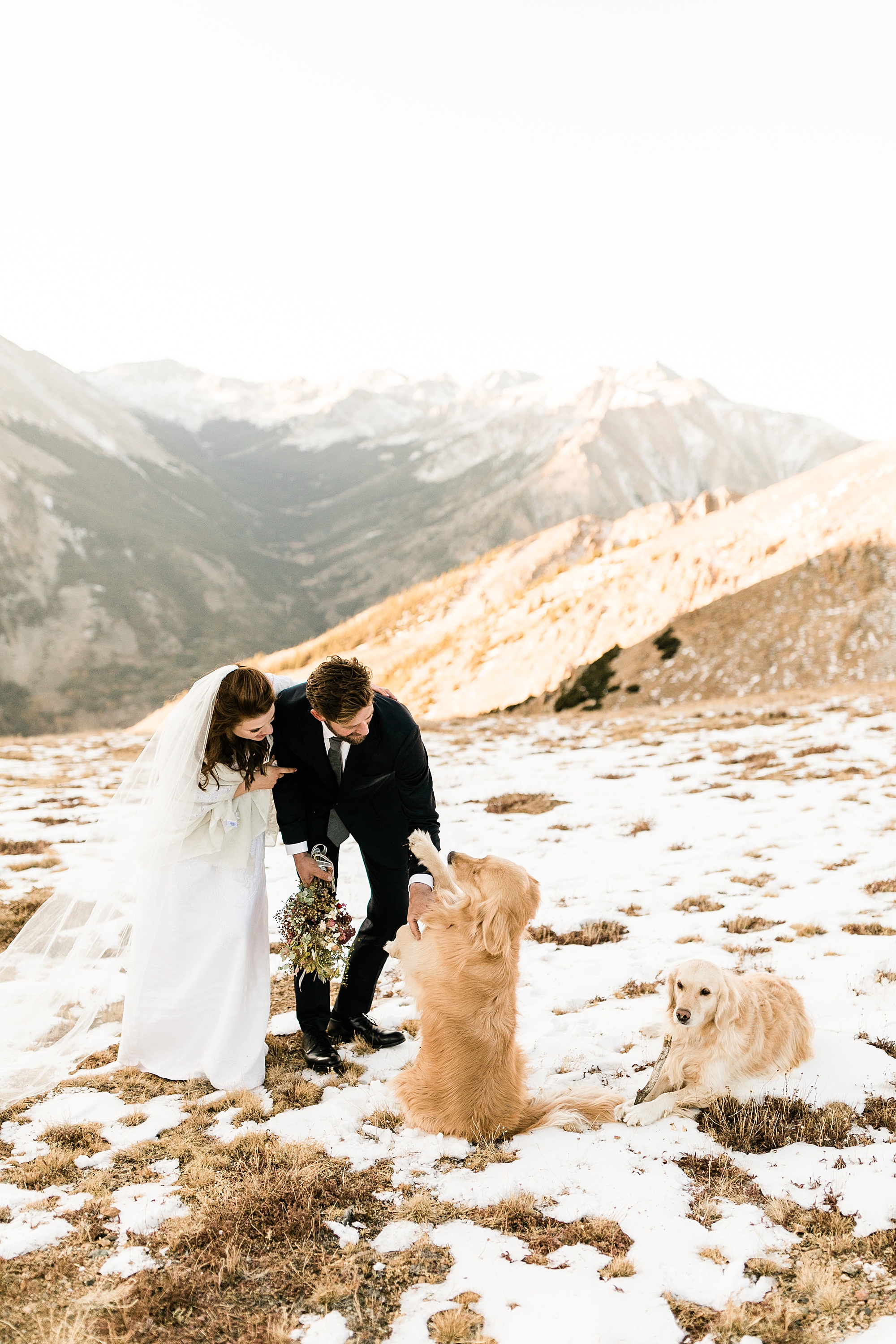 eloping with dogs