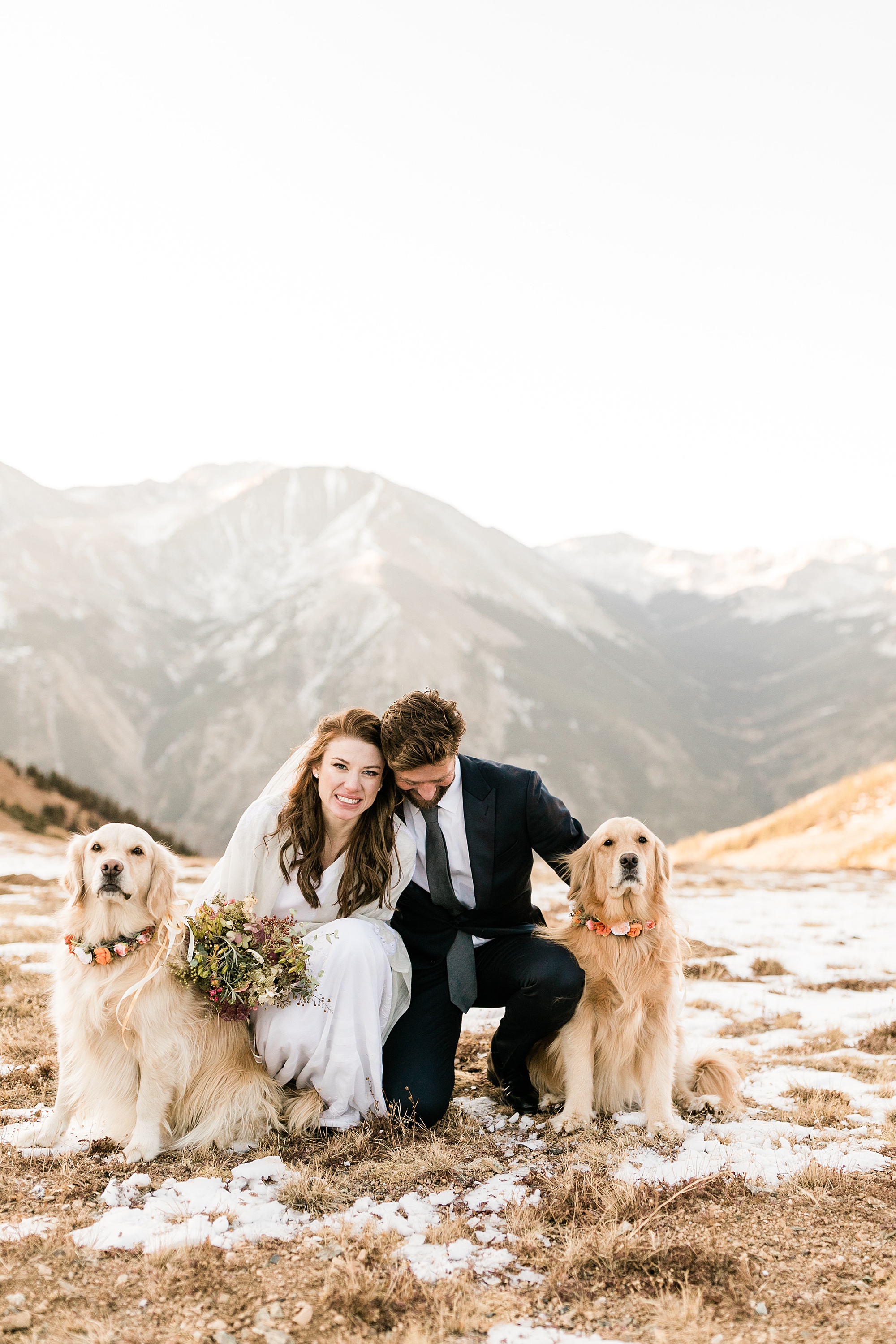 hiking elopement with dogs in colorado