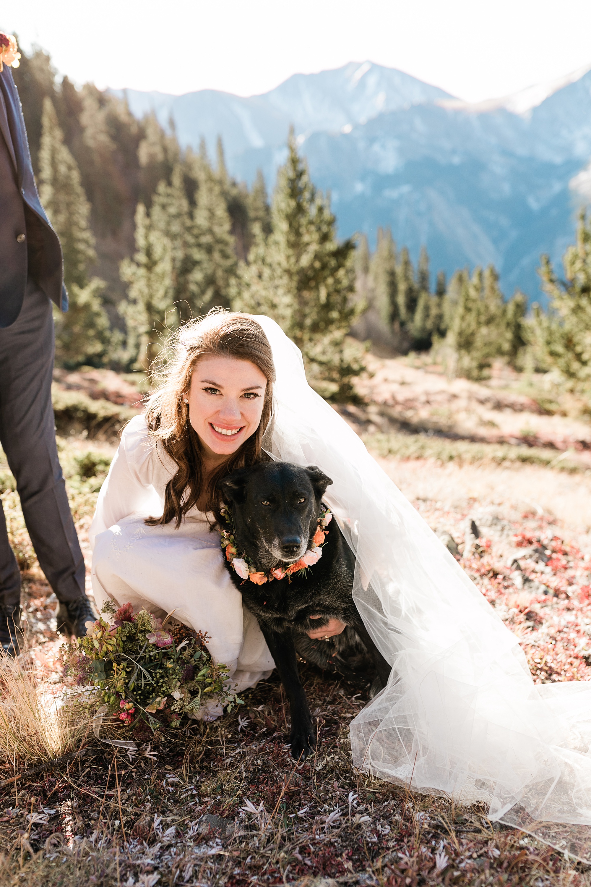 bride with her sweet senior dog