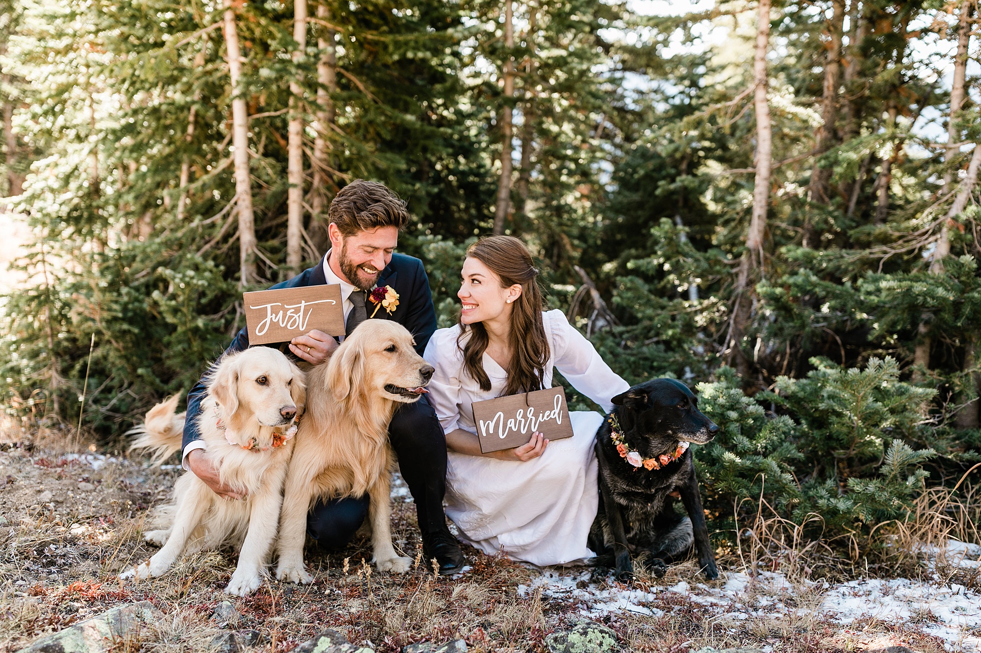 bride and groom with three dogs just married