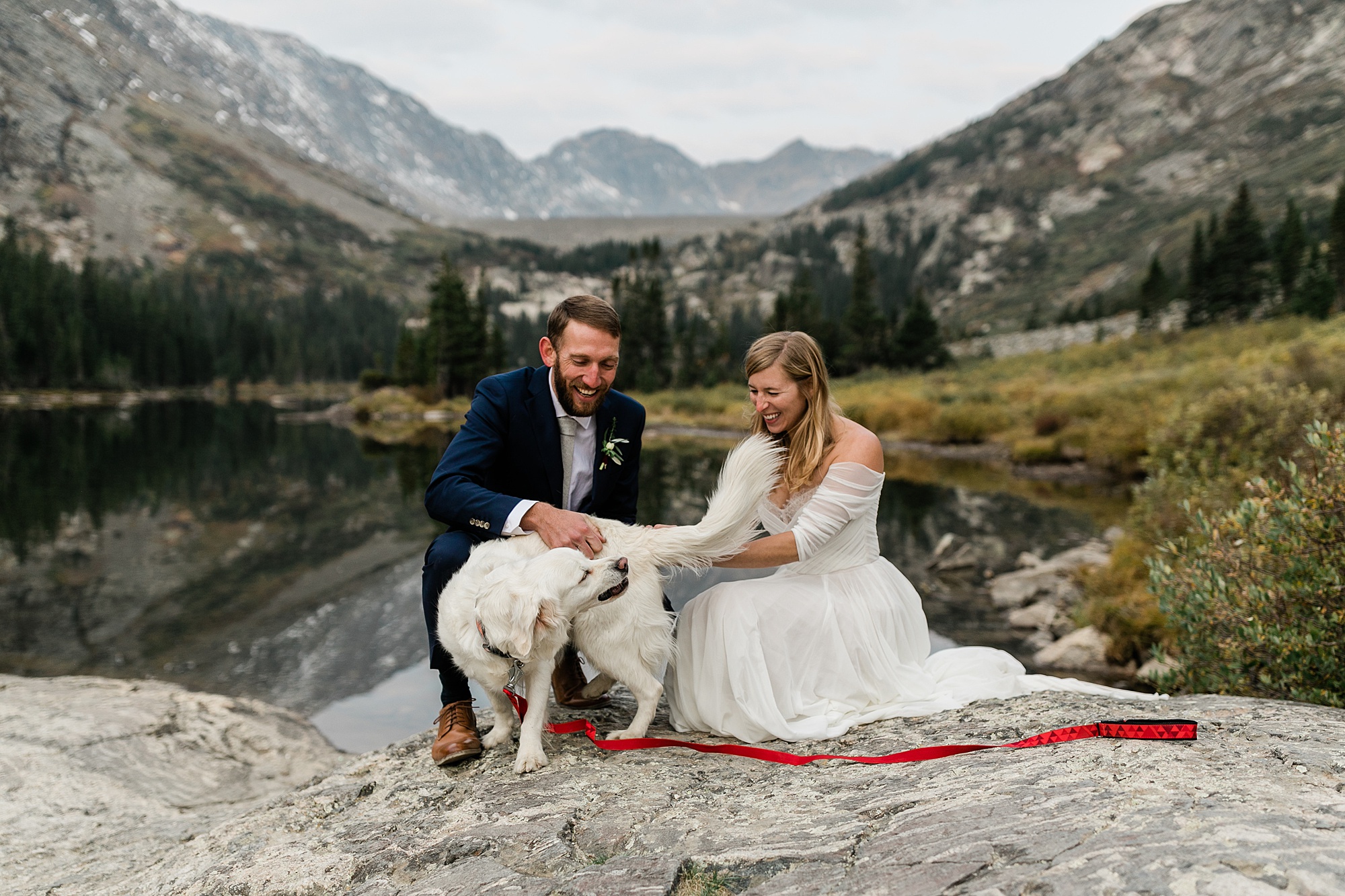 bride and groom and dog