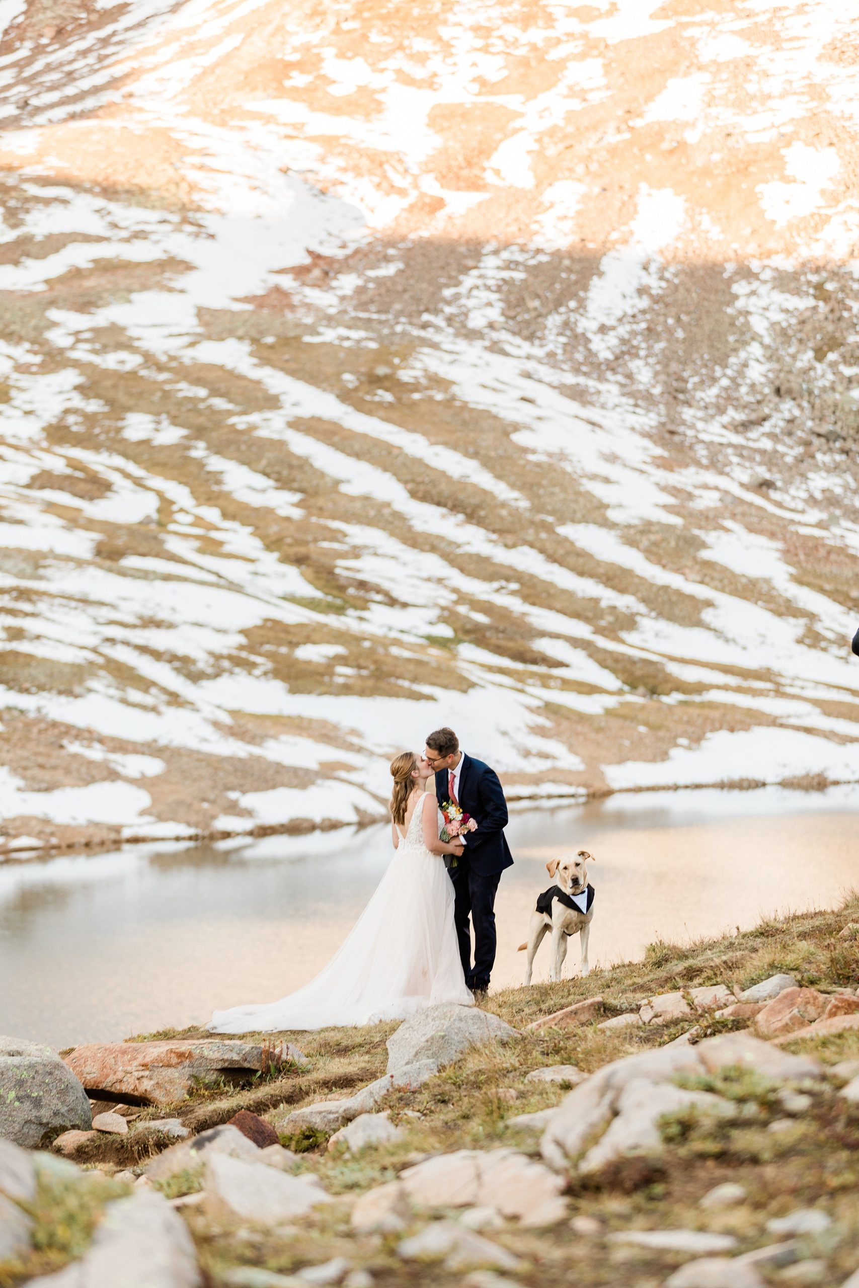 Telluride Colorado hiking elopement with dog