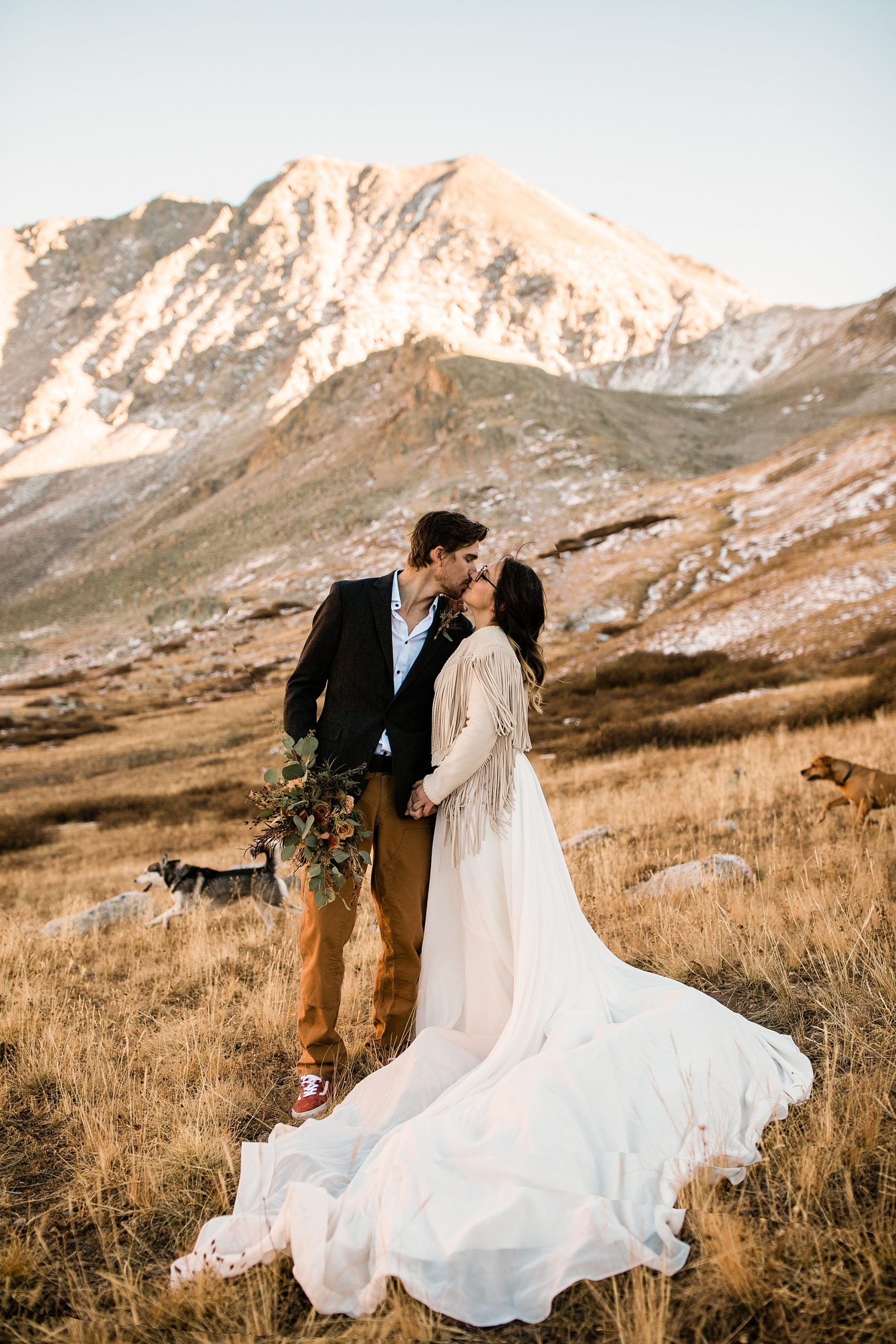 leadville colorado elopement with dogs