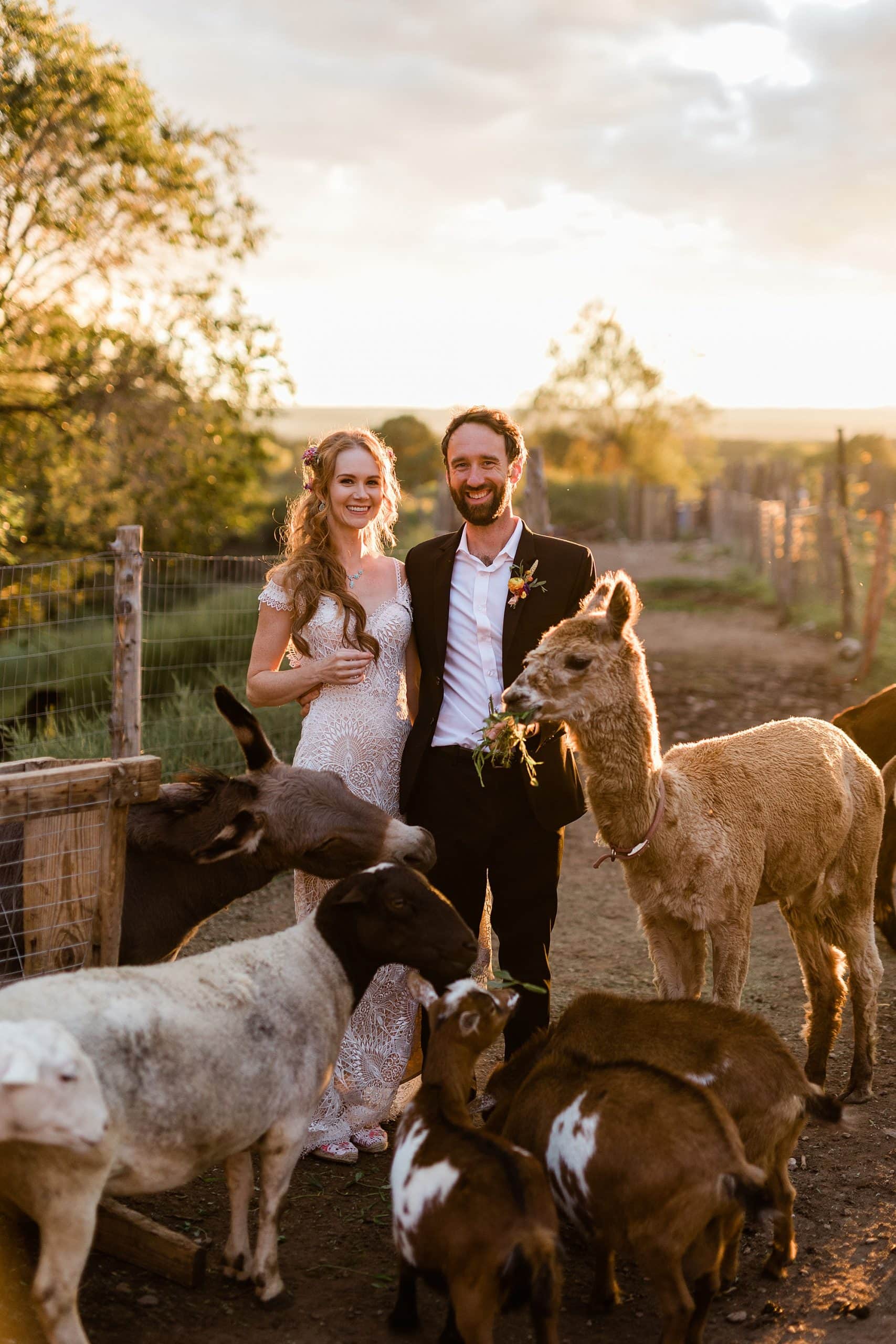 A couple poses with farm animals at Taos Goji eco-lodge and farm retreat in New Mexico